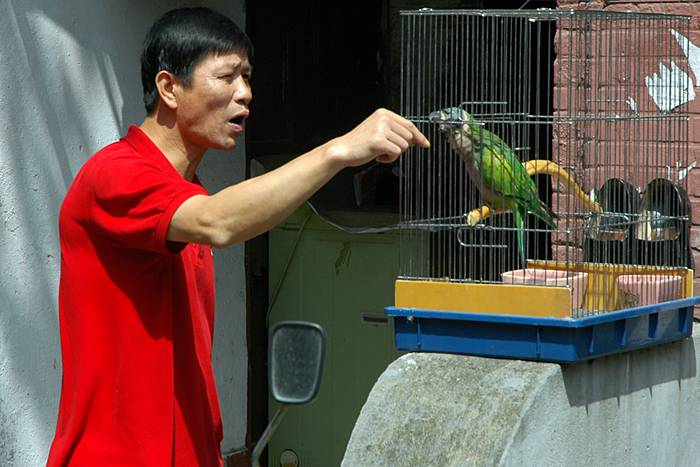 Ein Mann spricht mit einem Papagei.