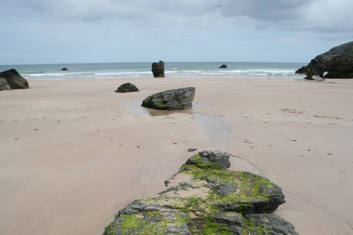 Ein grüner Felsen auf einem Strand mit dunklen Felsen.