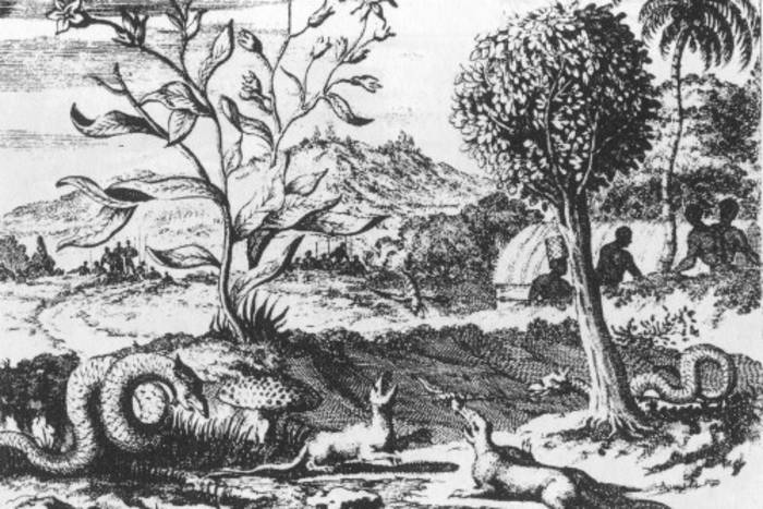 Alter Stich: Landschaft mit verschiedenen Pflanzen und Tieren sowie Menschen.