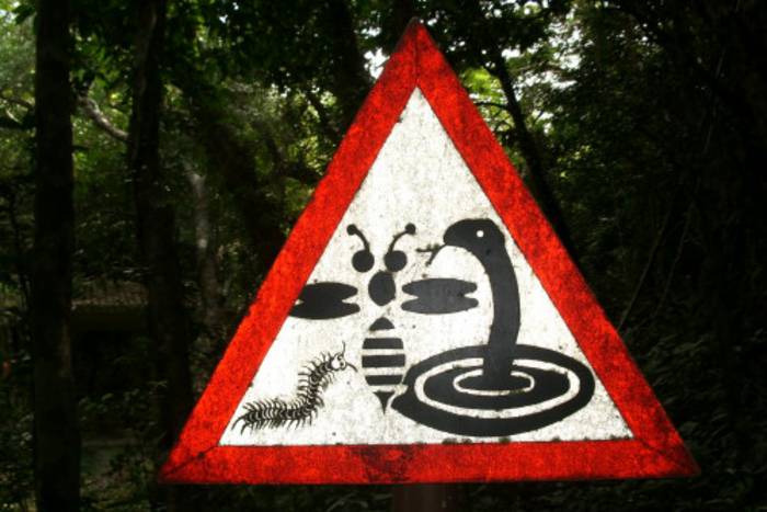 Ein Strassenschild warnt vor Schlangen und Insekten.