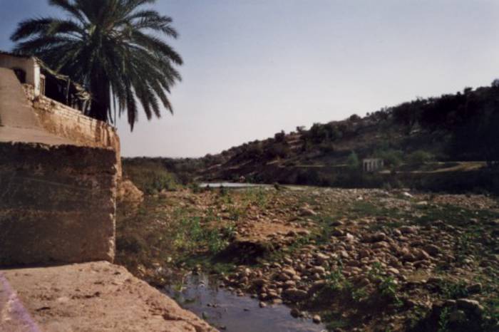 Nordafrikanische Landschaft mit Palme und Flüsschen.